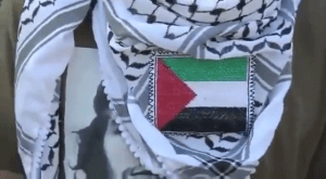 vlcsnap-2014-07-23-14h20m22s240